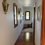 Mi Paraiso 빌라 *