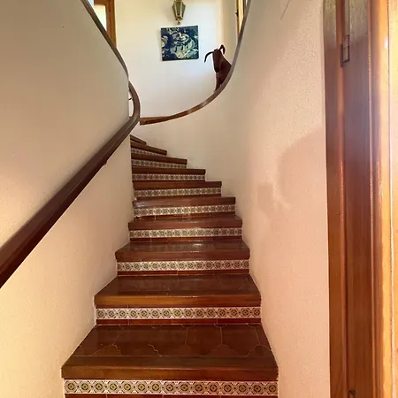 Mi Paraiso بينالماذينا
