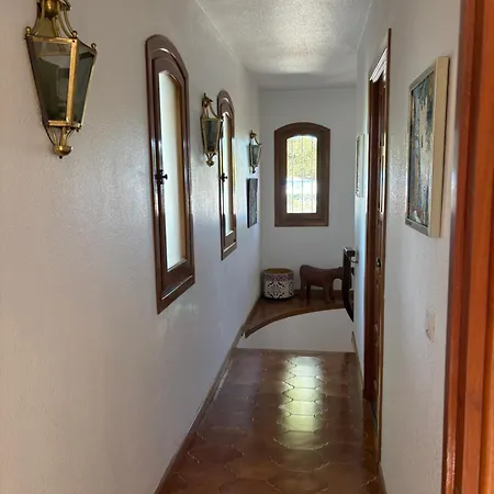 Mi Paraiso فيلة *
