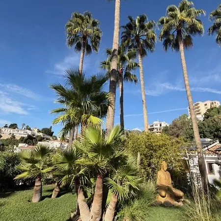 Mi Paraiso
